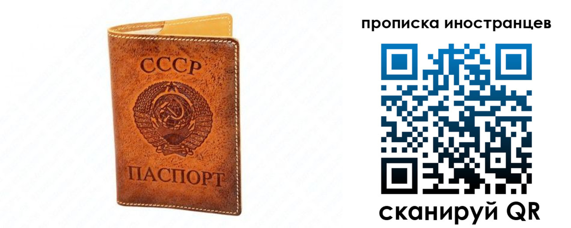 прописка для школы в Свирске